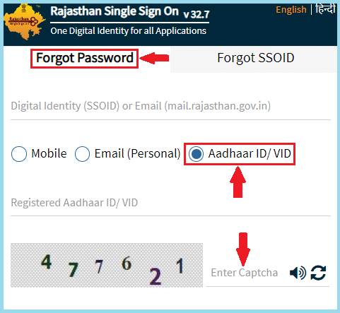 Forgot SSO ID Password